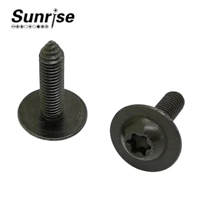 Pan Head Torx Socket Machine Tikken Automotive Schroef