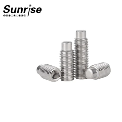 Roestvrijstalen zeshoekige plug flat -end set