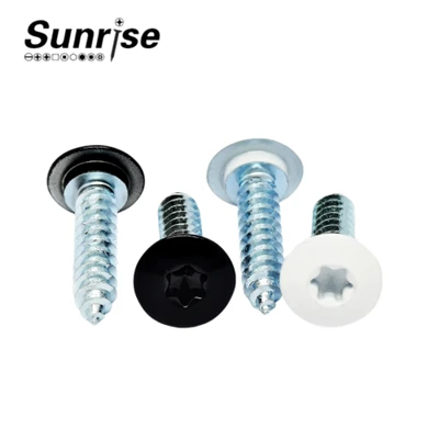 Torx zelftappende schroef met pankop